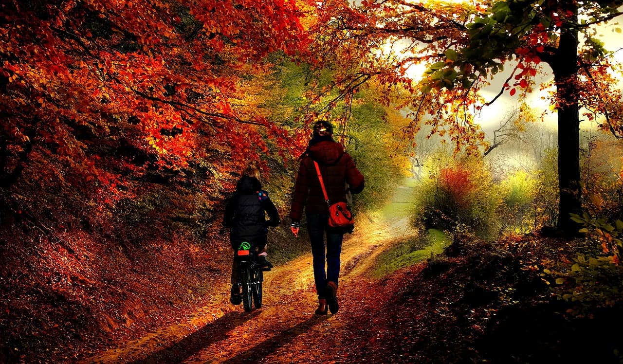 Walking: a Holistic Approach to Lower Blood Pressure Without Medication