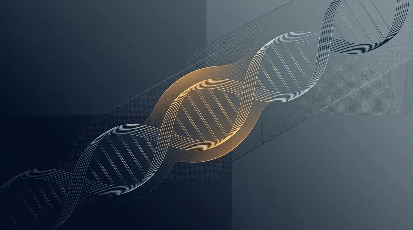 Illustration of a DNA double helix with a glowing central strand, representing protection of the genome