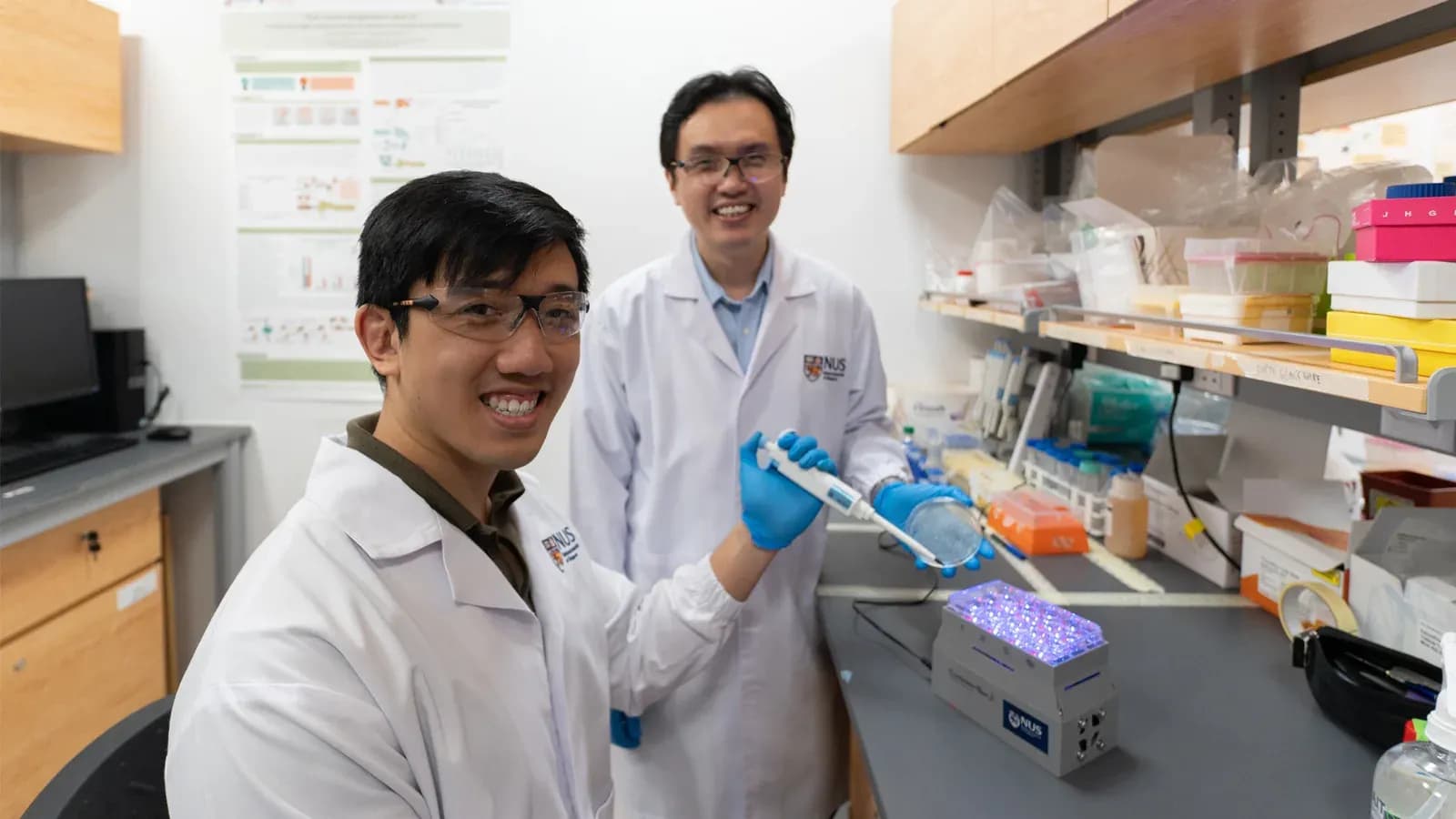 Linus Tan Yu Han and Associate Professor Poh Chueh-Loo in their laboratory at the National University of Singapore, holding a culture plate beside a blue light illumination unit.