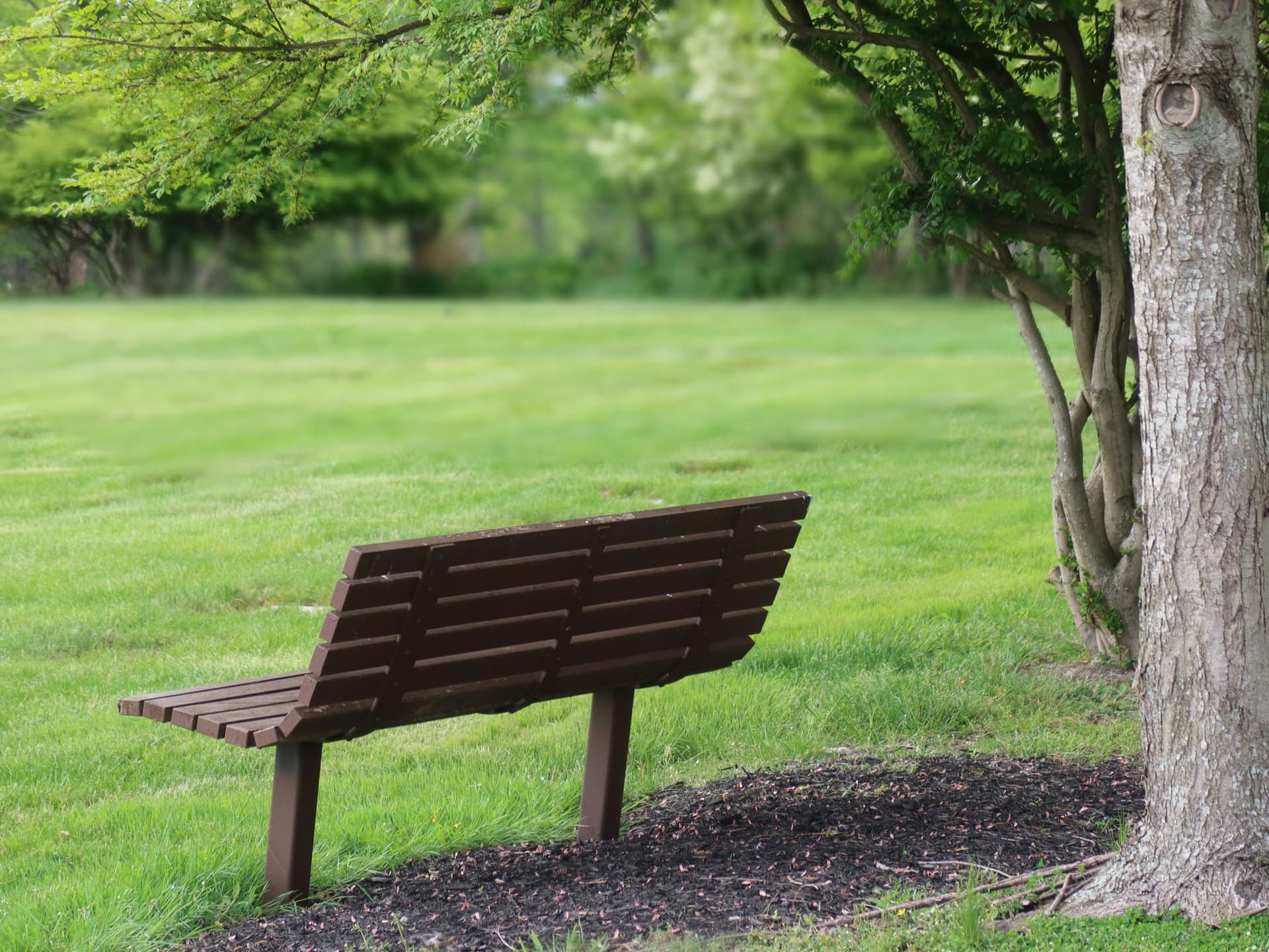 Why your grief is unique
