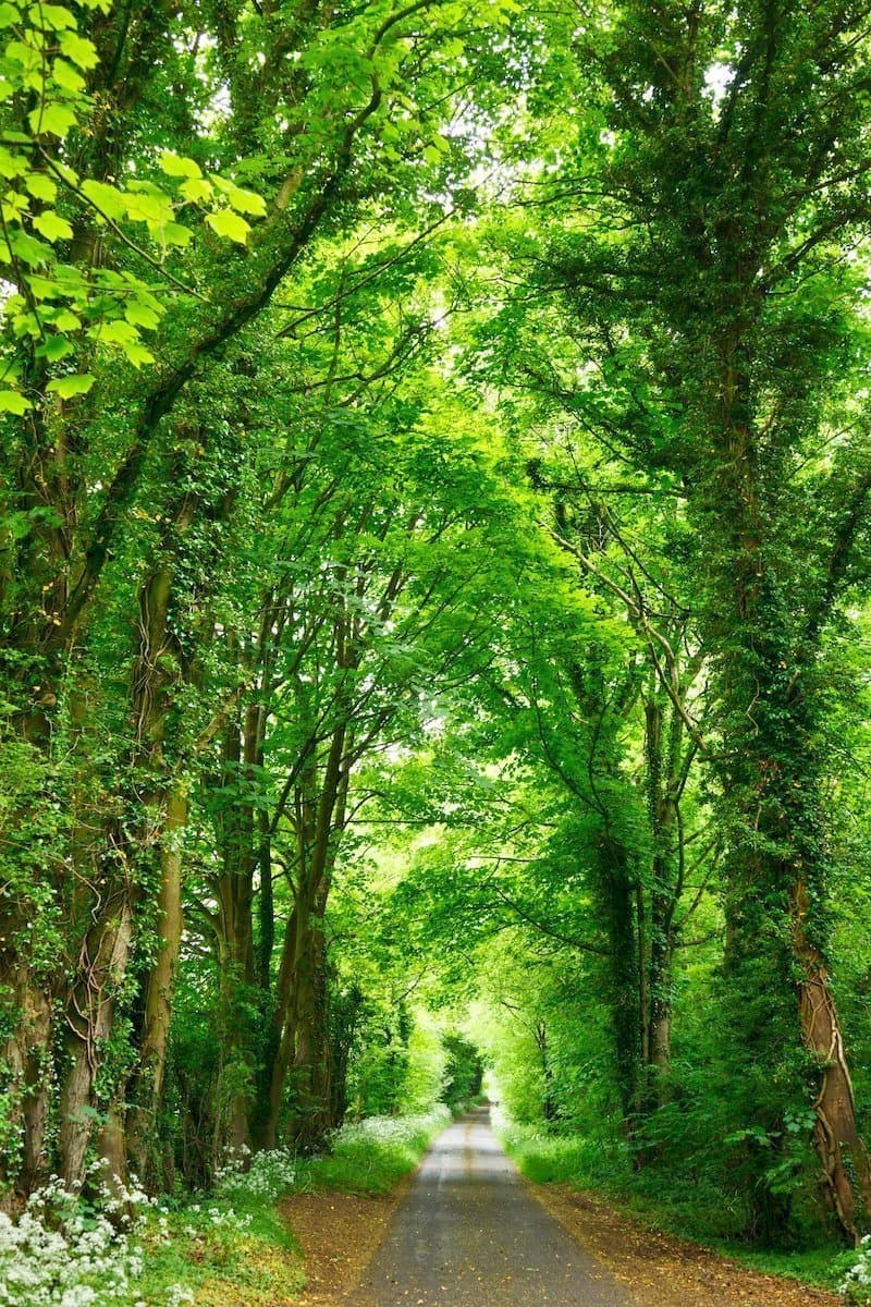 Can easy to follow lifestyle changes nurture your cognitive reserve and brain power longevity?