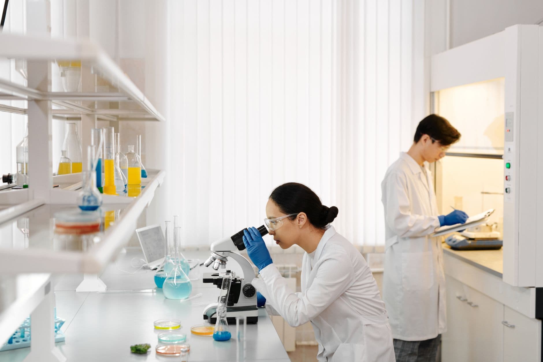 Two researchers working at benches in a laboratory